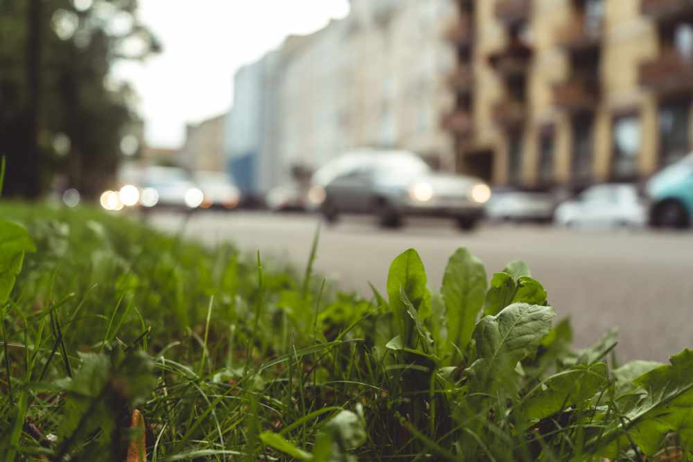 Ecologie et déménagement